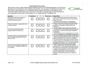 TI Leadership Survey V2